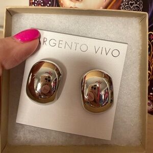 Argento Vivo Silver and Gold Earrings
